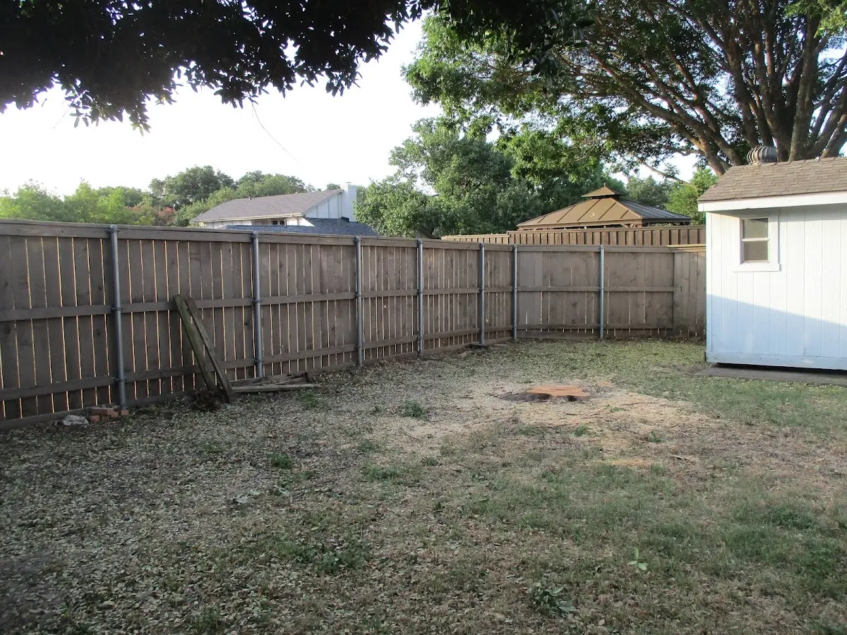 Cleared yard after professional tree removal in Guilderland Center